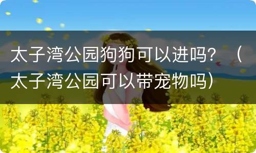 太子湾公园狗狗可以进吗？（太子湾公园可以带宠物吗）