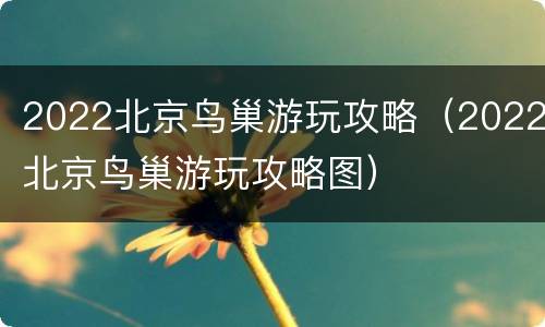 2022北京鸟巢游玩攻略（2022北京鸟巢游玩攻略图）