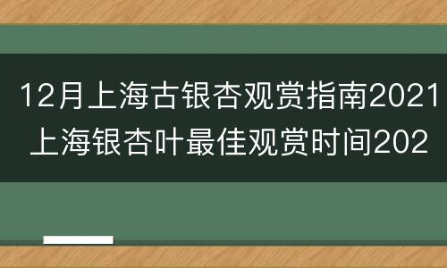 12月上海古银杏观赏指南2021 上海银杏叶最佳观赏时间2020
