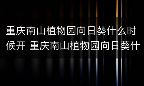 重庆南山植物园向日葵什么时候开 重庆南山植物园向日葵什么时候开花