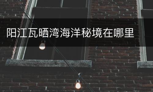 阳江瓦晒湾海洋秘境在哪里