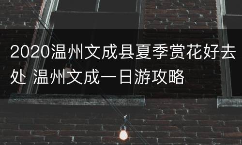 2020温州文成县夏季赏花好去处 温州文成一日游攻略