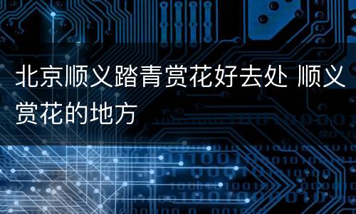 北京顺义踏青赏花好去处 顺义赏花的地方