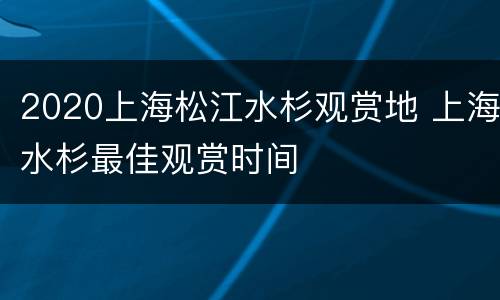 2020上海松江水杉观赏地 上海水杉最佳观赏时间