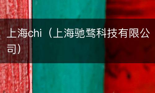 上海chi（上海驰骛科技有限公司）
