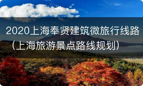 2020上海奉贤建筑微旅行线路（上海旅游景点路线规划）