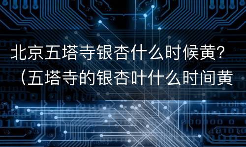 北京五塔寺银杏什么时候黄？（五塔寺的银杏叶什么时间黄）