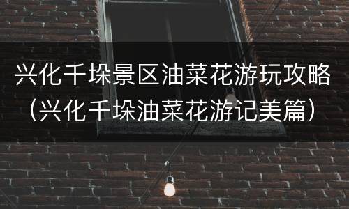 兴化千垛景区油菜花游玩攻略（兴化千垛油菜花游记美篇）