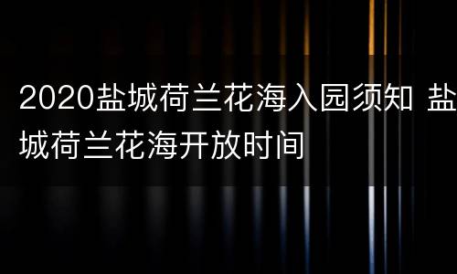 2020盐城荷兰花海入园须知 盐城荷兰花海开放时间