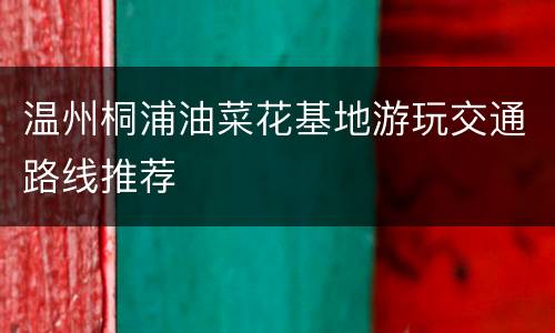 温州桐浦油菜花基地游玩交通路线推荐