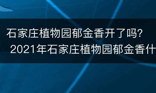 石家庄植物园郁金香开了吗？ 2021年石家庄植物园郁金香什么时候开