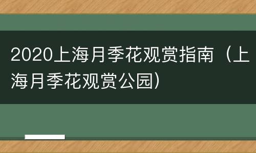 2020上海月季花观赏指南（上海月季花观赏公园）