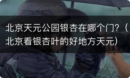 北京天元公园银杏在哪个门?（北京看银杏叶的好地方天元）
