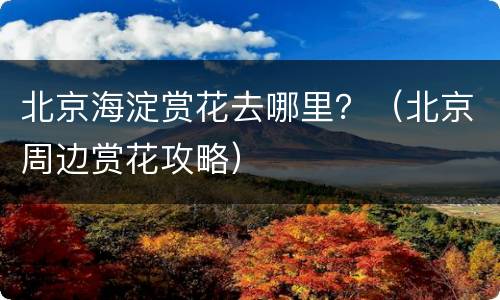 北京海淀赏花去哪里？（北京周边赏花攻略）