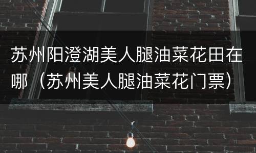 苏州阳澄湖美人腿油菜花田在哪（苏州美人腿油菜花门票）