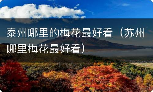 泰州哪里的梅花最好看（苏州哪里梅花最好看）