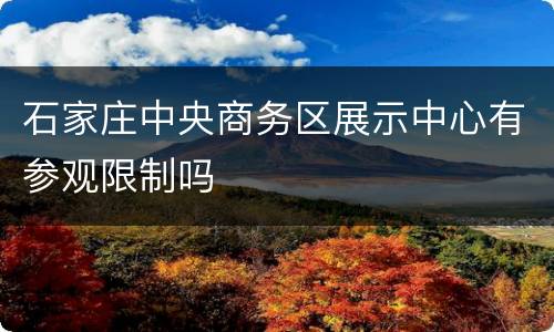 石家庄中央商务区展示中心有参观限制吗