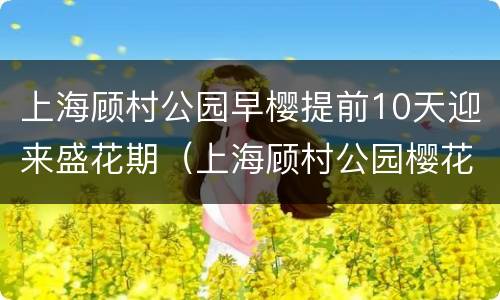上海顾村公园早樱提前10天迎来盛花期（上海顾村公园樱花几月开）