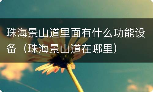 珠海景山道里面有什么功能设备（珠海景山道在哪里）