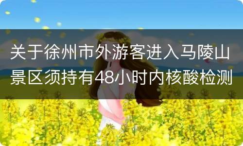 关于徐州市外游客进入马陵山景区须持有48小时内核酸检测阴性证明的通知