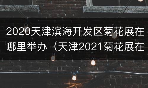 2020天津滨海开发区菊花展在哪里举办（天津2021菊花展在哪里举办）