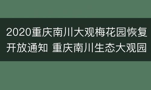 2020重庆南川大观梅花园恢复开放通知 重庆南川生态大观园最新消息