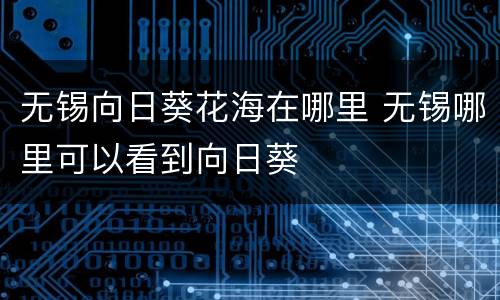 无锡向日葵花海在哪里 无锡哪里可以看到向日葵