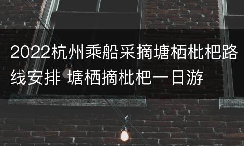 2022杭州乘船采摘塘栖枇杷路线安排 塘栖摘枇杷一日游
