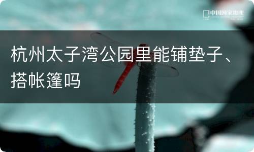 杭州太子湾公园里能铺垫子、搭帐篷吗