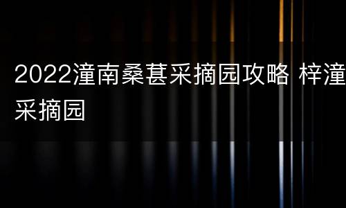 2022潼南桑葚采摘园攻略 梓潼采摘园