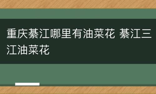 重庆綦江哪里有油菜花 綦江三江油菜花