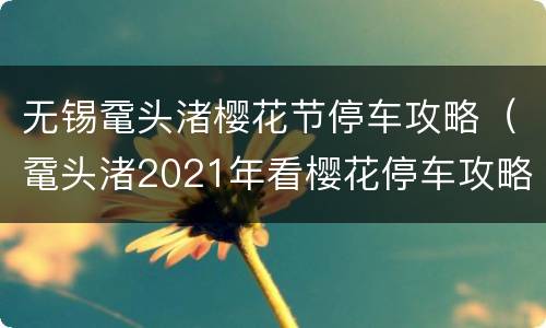 无锡鼋头渚樱花节停车攻略（鼋头渚2021年看樱花停车攻略）