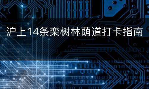 沪上14条栾树林荫道打卡指南