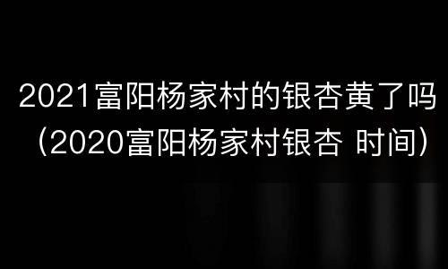 2021富阳杨家村的银杏黄了吗（2020富阳杨家村银杏 时间）