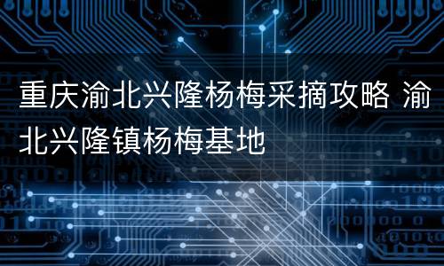 重庆渝北兴隆杨梅采摘攻略 渝北兴隆镇杨梅基地