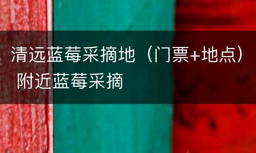 清远蓝莓采摘地（门票+地点） 附近蓝莓采摘