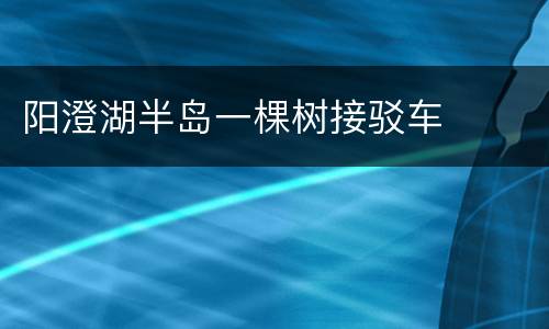 阳澄湖半岛一棵树接驳车
