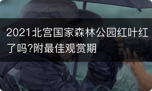 2021北宫国家森林公园红叶红了吗?附最佳观赏期