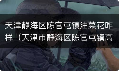 天津静海区陈官屯镇油菜花咋样（天津市静海区陈官屯镇高官屯村）