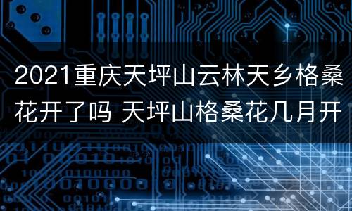 2021重庆天坪山云林天乡格桑花开了吗 天坪山格桑花几月开