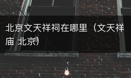 北京文天祥祠在哪里（文天祥庙 北京）