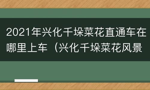 2021年兴化千垛菜花直通车在哪里上车（兴化千垛菜花风景区门票）