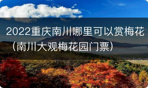 2022重庆南川哪里可以赏梅花（南川大观梅花园门票）