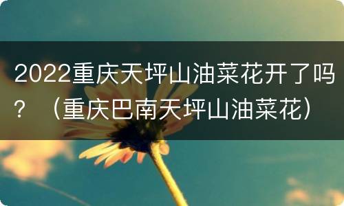 2022重庆天坪山油菜花开了吗？（重庆巴南天坪山油菜花）
