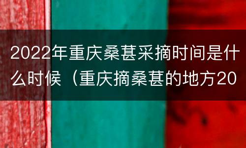 2022年重庆桑葚采摘时间是什么时候（重庆摘桑葚的地方2020）