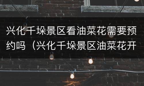 兴化千垛景区看油菜花需要预约吗（兴化千垛景区油菜花开了吗）