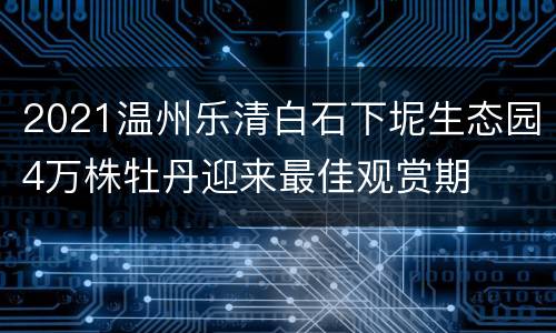 2021温州乐清白石下坭生态园4万株牡丹迎来最佳观赏期