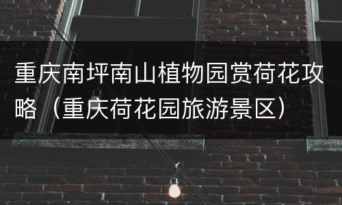 重庆南坪南山植物园赏荷花攻略（重庆荷花园旅游景区）