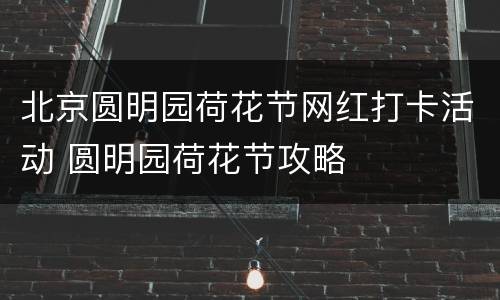 北京圆明园荷花节网红打卡活动 圆明园荷花节攻略