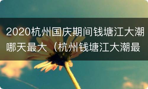 2020杭州国庆期间钱塘江大潮哪天最大（杭州钱塘江大潮最佳时间）